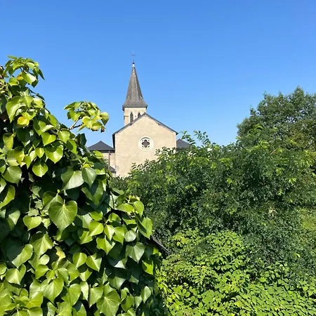 Le Moulin Du Chateau De - Piscine *